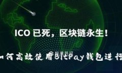 全面解析：如何高效使用