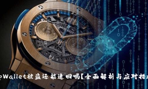 tpWallet被盗还能追回吗？全面解析与应对措施