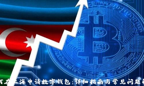 
如何在上海申请数字钱包：详细指南与常见问题解答