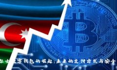  威尔士数字钱包的崛起：
