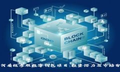 如何有效参股数字钱包项目：投资潜力及市场分