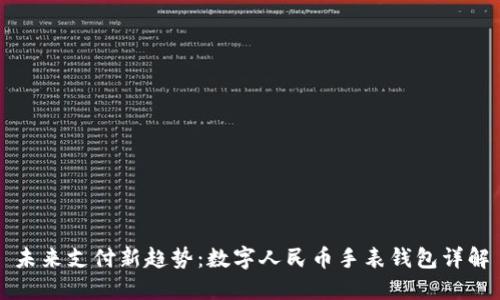 未来支付新趋势：数字人民币手表钱包详解