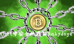 如何在tpWallet中安全地存储Babydoge币：全面指南