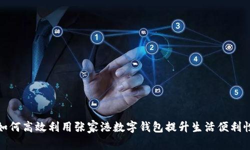 如何高效利用张家港数字钱包提升生活便利性