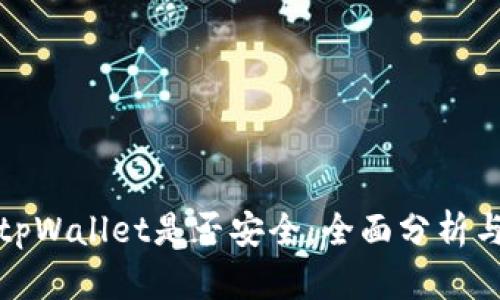 如何查看tpWallet是否安全：全面分析与风险评估
