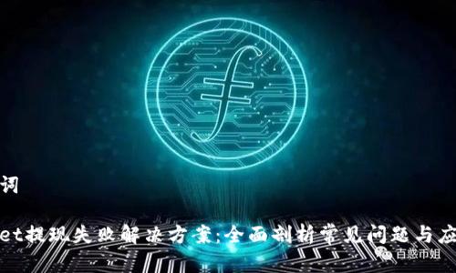 和关键词

tpWallet提现失败解决方案：全面剖析常见问题与应对策略