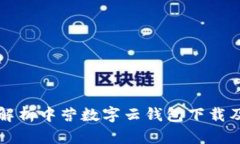 全方位解析中营数字云钱包下载及其功能