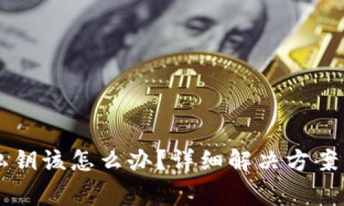 tpWallet没有私钥该怎么办？详细解决方案与常见问题解析
