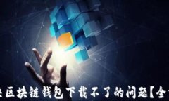 如何解决区块链钱包下载不了的问题？全方位指