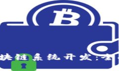  如何进行钱包区块链系统开发：全面指南与最佳