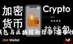 全面解析可视卡硬钱包与区块链的结合：安全性