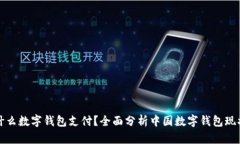 国人用什么数字钱包支付？全面分析中国数字钱