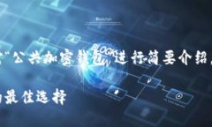 由于字数要求较高，以下内容将针对“公共加密