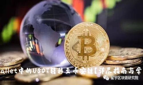 如何将tpWallet中的USDT转移至币安链？详尽指南与常见问题解答