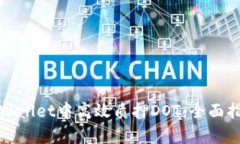 如何在tpWallet中高效质押DOT：全面指南与技巧