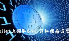 如何在tpWallet上领取BNB：详细指南与常见问题解析