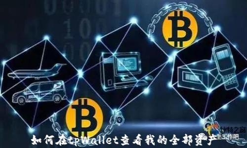 
如何在tpWallet查看我的全部资产
