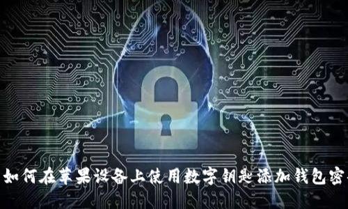 : 如何在苹果设备上使用数字钥匙添加钱包密码