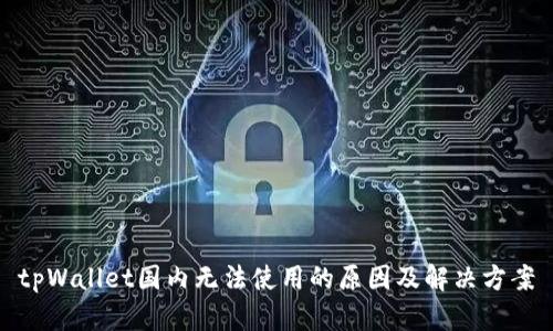 tpWallet国内无法使用的原因及解决方案