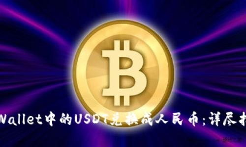 如何将tpWallet中的USDT兑换成人民币：详尽指南与技巧