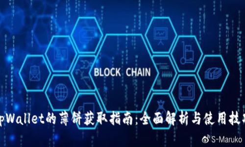tpWallet的薄饼获取指南：全面解析与使用技巧