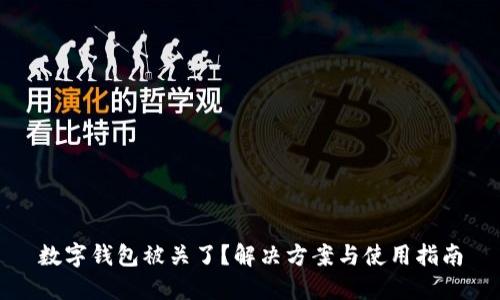数字钱包被关了？解决方案与使用指南