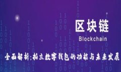  全面解析：拍立数字钱包