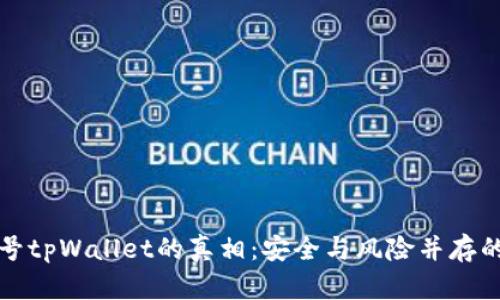 揭秘微信公众号tpWallet的真相：安全与风险并存的数字货币钱包