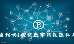 数字钱包地址可以查到吗
