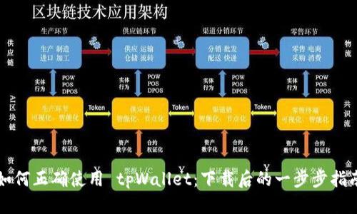 如何正确使用 tpWallet：下载后的一步步指南