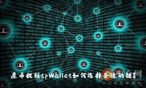 屎币提到tpWallet如何选择合适的链？