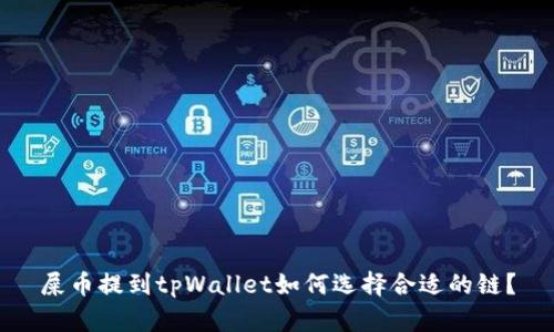 屎币提到tpWallet如何选择合适的链？