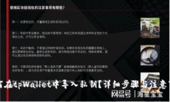 如何在tpWallet中导入私钥？详细步骤与注意事项