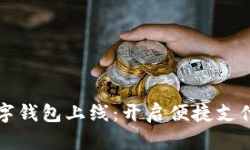 华为数字钱包上线：开启便捷支付新纪元