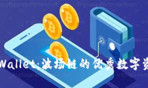 深入了解tpWallet：波场链的优秀数字资产管理工具