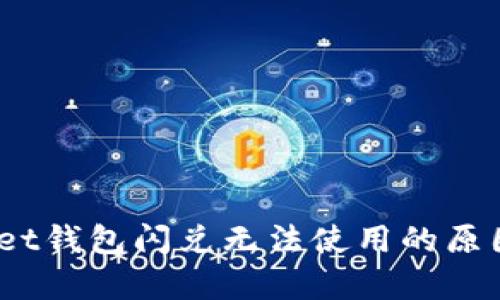:详解tpWallet钱包闪兑无法使用的原因及解决方案