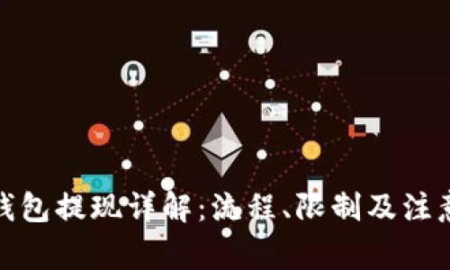 数字钱包提现详解：流程、限制及注意事项