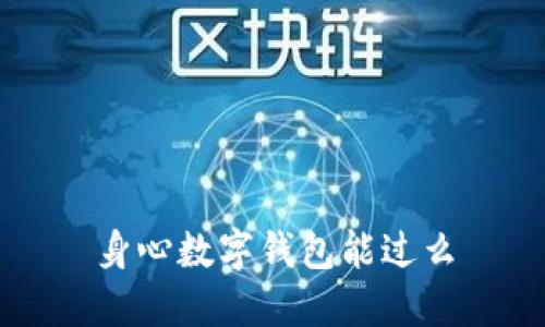 身心数字钱包能过么
