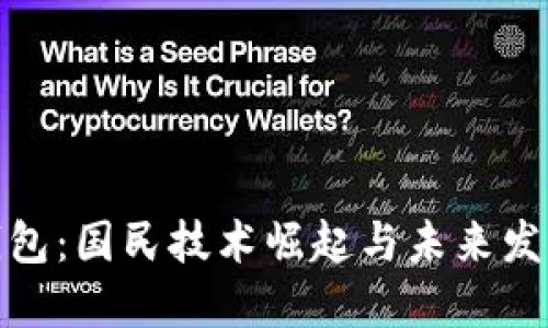 数字钱包：国民技术崛起与未来发展趋势