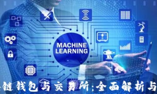 
区块链钱包与交易所：全面解析与指南