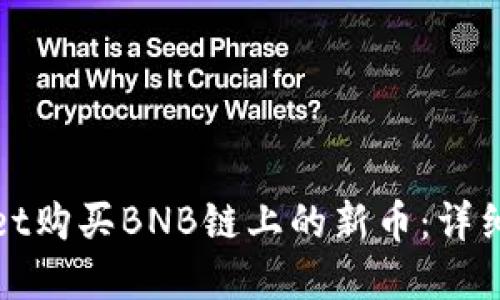 如何通过tpWallet购买BNB链上的新币：详细指南与操作步骤