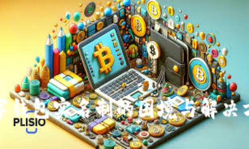 数字钱包实名制的困境与解决方案