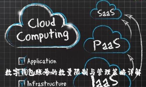 数字钱包账号的数量限制与管理策略详解