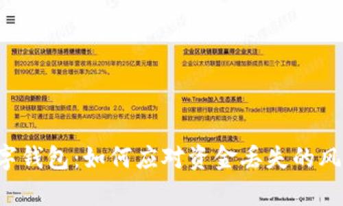 tpWallet 数字钱包：如何应对资金丢失的风险与管理策略