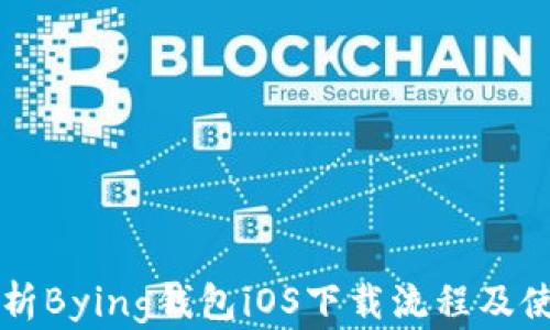 
详细解析Bying钱包iOS下载流程及使用指南