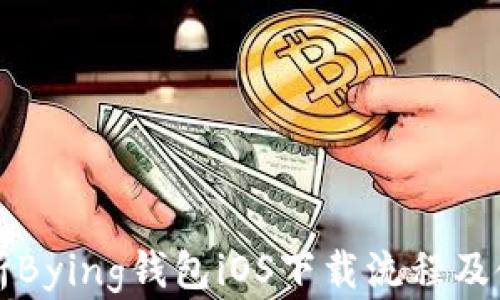 
详细解析Bying钱包iOS下载流程及使用指南