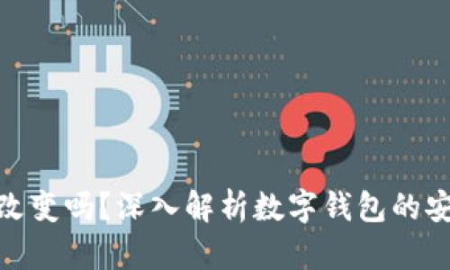 : 钱包数字随便改变吗？深入解析数字钱包的安全性与隐私保护