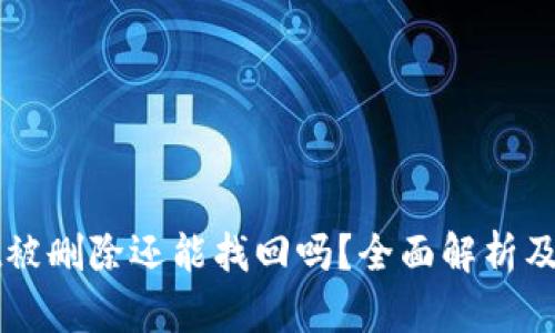 tpWallet被删除还能找回吗？全面解析及应对方法