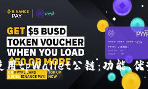 如何查看并使用tpWallet公链：功能、优势与应用指南