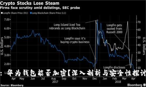 : 华为钱包能否加密？深入剖析与安全性探讨